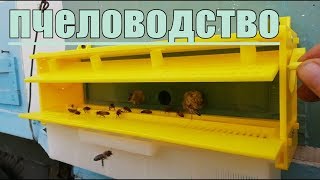 Пчеловодство 21,03,2019 Обзор и установка пыльцесборника