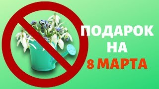 Подарок на 8 МАРТА.Анекдот Дня. Смешно до слёз. +18