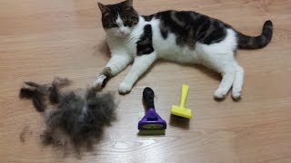 Котик Лаваш. Чем вычесывать кота Фурминатор Furminator