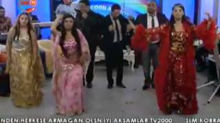 ork kemallar kobra show gogo