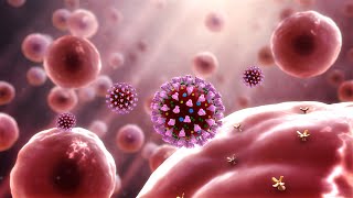 Coronavirus outbreak (2019 nCoV) explained through 3D Medical Animation (UPDATED)