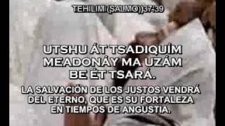 SALMOS CANTADOS EN HEBREO TRADUCCIÓN ESPAÑOL