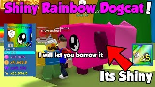 He Traded Me Shiny Rainbow Dogcat! OP STATS! Best Shiny Rainbow Pet - Bubble Gum Simulator