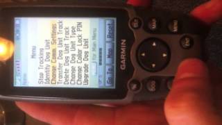 Garmin Astro 220 DC-40 dog tracker