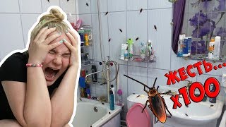 ВСЯ КОМНАТА В ТАРАКАНАХ! ПРАНК НАД СЕСТРОЙ! ЖЕСТЬ КАК ОНА КРИЧАЛА! 100 тараканов! (БпС)