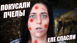 МЕНЯ ИСКУСАЛИ ПЧЕЛЫ И ОСЫ!  СТРАШНЫЕ ИСТОРИИ OLYA GRACE