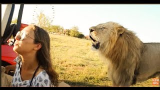 Адреналиновая фото-сессия для прессы  !!! Тайган .Крым.