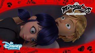 BİZ SÜPER KAHRAMANIZ! ? | Mucize: Uğur Böceği ile Kara Kedi | Disney Channel TR?