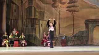 Юлия Звягина / Артемий Пыжов "Дон Кихот"