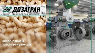 Гранулирование| Пресс-гранулятор| ОГМ-1,5