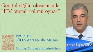 Genital siğilin oluşmasında HPV önemli rol mü oynar? - Prof. Dr. Süleyman Engin Akhan
