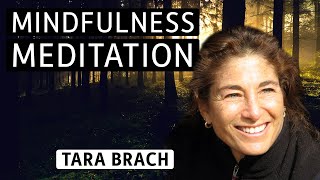 Meditation with Tara Brach: Developing Self-Compassion