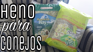 TODO sobre el HENO ?: DIFERENCIA HENO/PAJA + MEJOR heno CONEJOS