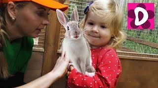 ✿ VLOG Едем в Страна ЕНОТиЯ Контактный Зоопарк Арт Молл Adventure Zoo Happy Time Diana Show