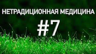 Перга пчелиная применение!