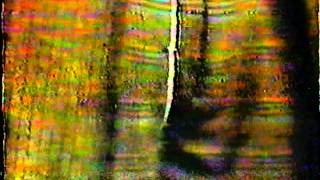 BEST PLANE CRASH ON YOU TUBE, PLUS THE GRASS IS GREENER