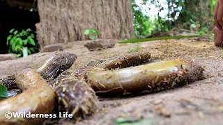 Primitive Technology : Find Eels in Mud at Pond - How to Primitive Cooking eels Eating Delicious