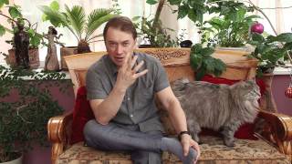 О.Фролов Как избавиться от обид и стать свободным  keifo. ru
