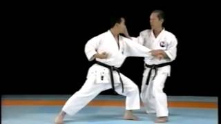 [十三] Seishan (kata) - Wado-ryu