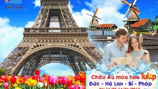 Rực rỡ lễ hội hoa Tulip tại Hà Lan: Tour Châu Âu Cao Cấp - Vietsuntravel