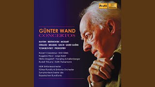 Horn Concerto No. 1 in E-Flat Major, Op. 11, TrV 117: I. Allegro