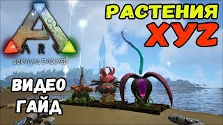 Растения XYZ. Видео-гайд. ARK Survival Evolved.