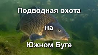 Подводная охота на реке Южный Буг.