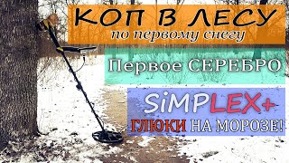 Коп монет с Nokta Simplex  Первое СЕРЕБРО  коп 2020 находки в лесу