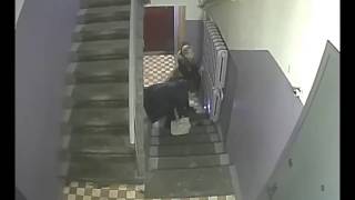 Торчки подъезд облизывают. Камера в подъезде город Химки.  Часть 2.