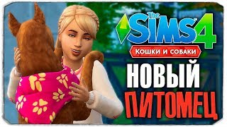 НОВЫЙ ПИТОМЕЦ СОФИ! - The Sims 4 "Кошки и Собаки" ▮