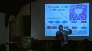 The Metaphysics of Homology: The Molecular Basis of Character Identity