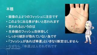 生命線に出るフィッシュの見方