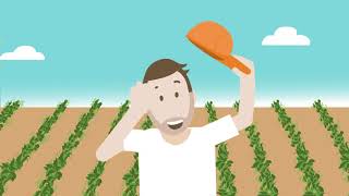 BASF | Advanced Weed Control - Herbicide Layering Solution
