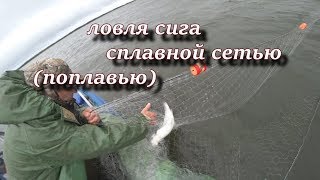 ЛОВЛЯ СИГА СПЛАВНОЙ СЕТЬЮ (ПОПЛАВЬЮ)
