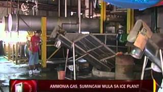 24oras: Ammonia gas, sumingaw mula sa ice plant