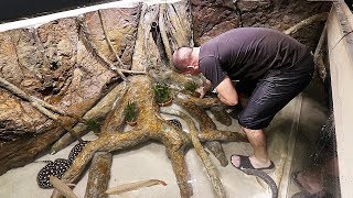 PLANTING THE 2,000G AQUARIUM part 2