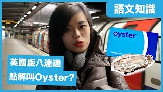 【語文知識】點解英國八達通叫 Oyster？背後原因同英國文化有莫大關係（修訂版）