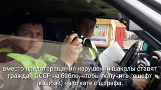 Шакалы гибдд рф Курска на охоте
