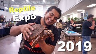 OMG! I Got To Hold My Dream Tortoise At The Reptile Expo !!
