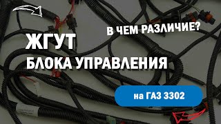 Жгут блока управления ГАЗ 3302 дв УМЗ 4216
