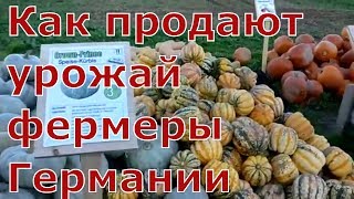 Как фермеры Германии продают свой урожай