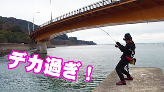 橋の下の堤防がヤバかった‼