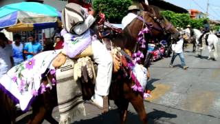 Caballos bailarines que desfilan, Fiesta de los oficios, Chilchota 2016
