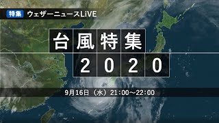 ウェザーニュースLiVE〜台風特集2020〜
