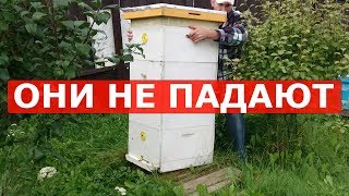 миф о неустойчивости безфальцевого многокорпусного улья