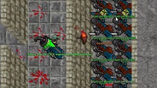 I TRAPPED 20 FALCONS in a small ROOM...