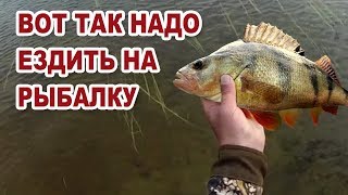 Вот так надо ездить на рыбалку. Рыбалка на севере Стофети и компания 2017