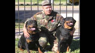 РУКЦ«SPECIAL FORCES» и питомник " Из дома Уваровых" http://www.uvarovhouse.ru 