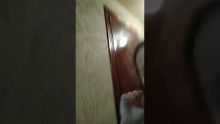 Цыпленок жареный