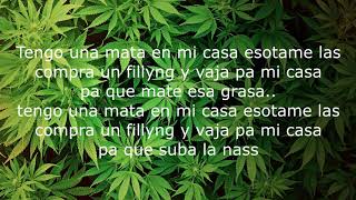 Jon Z X Quimico Ultra Mega - Tengo Una Mata (Remix) LETRA / LYRICS